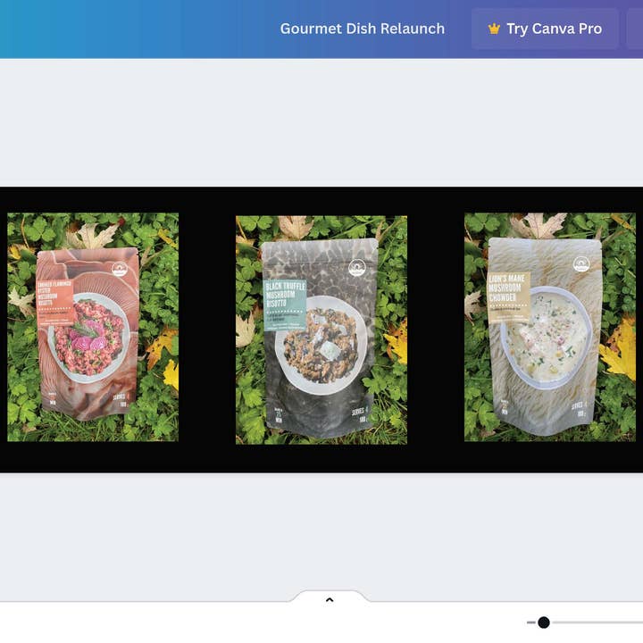 Value Soups/Risottos Pack for wholesale by Planet Mushrooms