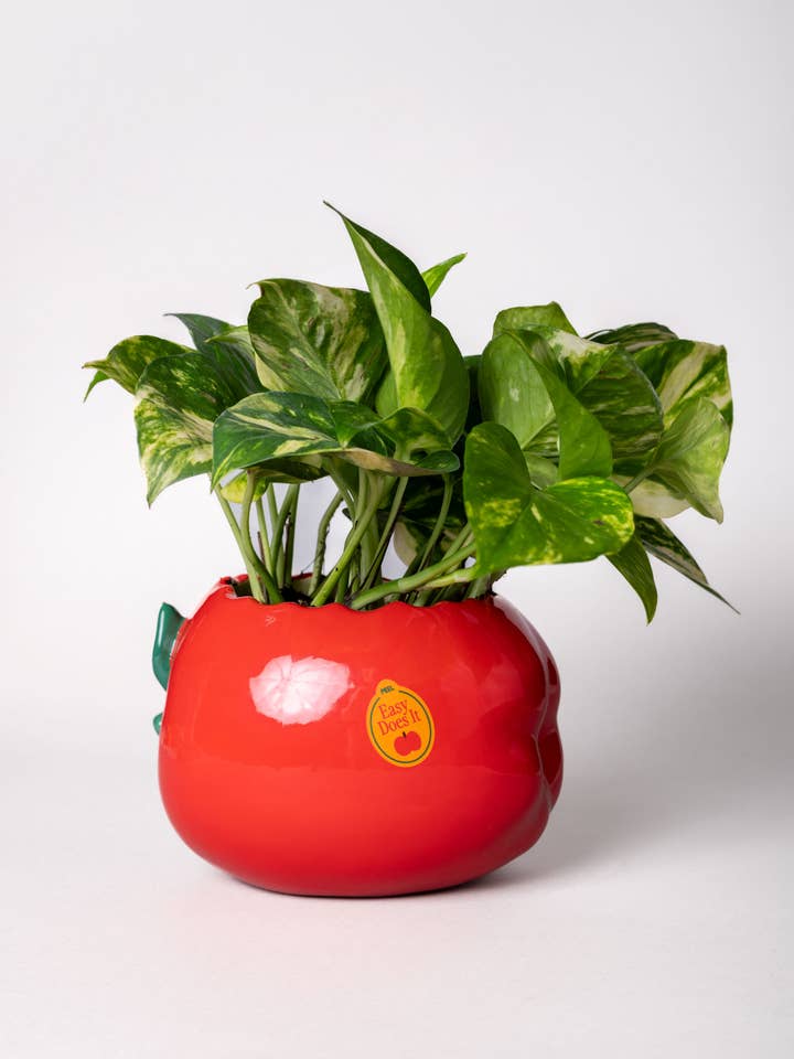 Copo de Lápis de Cerâmica, Maçã por atacado de Ban.do