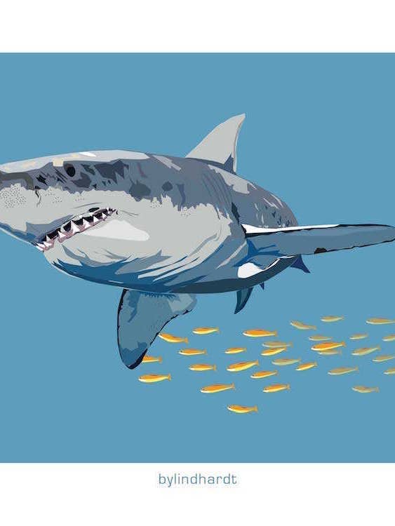 Shark Poster for wholesale by bylindhardt