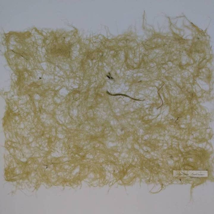 Joanne Rich - Wholesale Craft Supplies - Handmade Corn Husk Artist Paper2