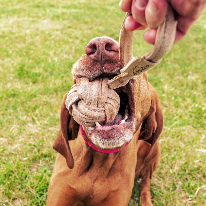 Funny Zoo - Wholesale Pet Rope Toy - Dog - Natural toy for dogs Suede ball with rope
