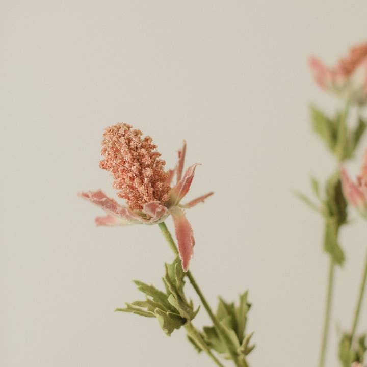 Eucalypt Co. - Wholesale Artificial flowers - Bell Thistle2