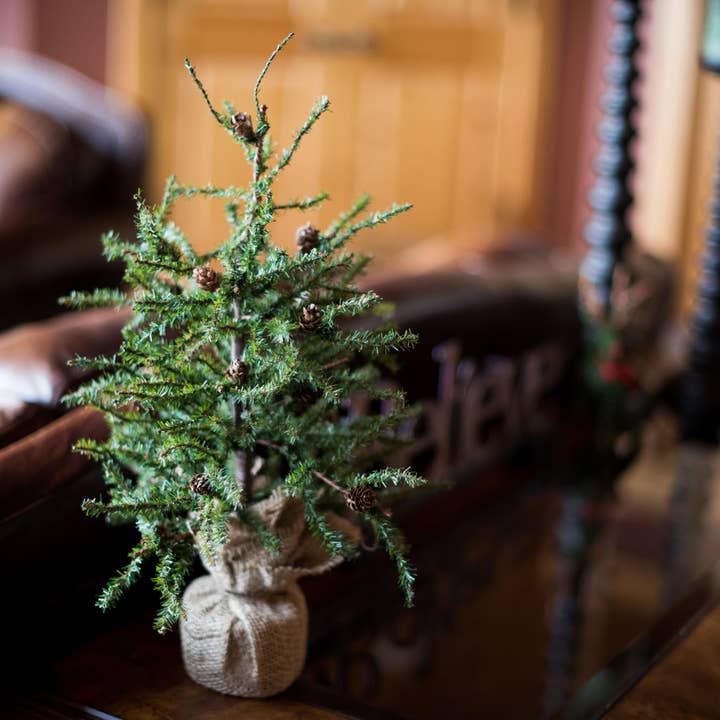 Green Vickerman 18" Carmel Pine Artificial Tree, Unlit for wholesale on Faire