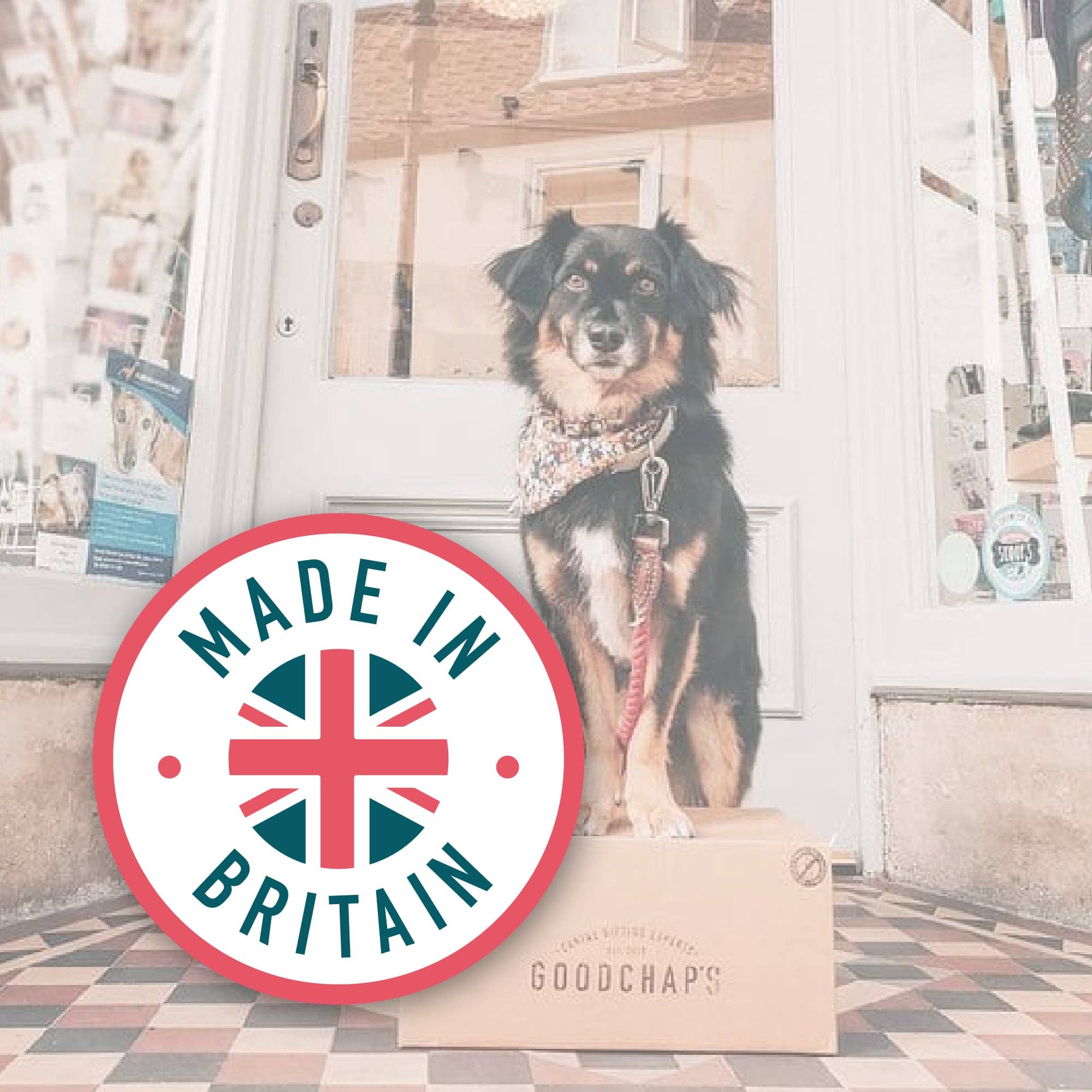 Goodchap's - Vente Friandises – chien - Friandises d'entraînement pour poissons | Friandises écologiques | Sans plastique8