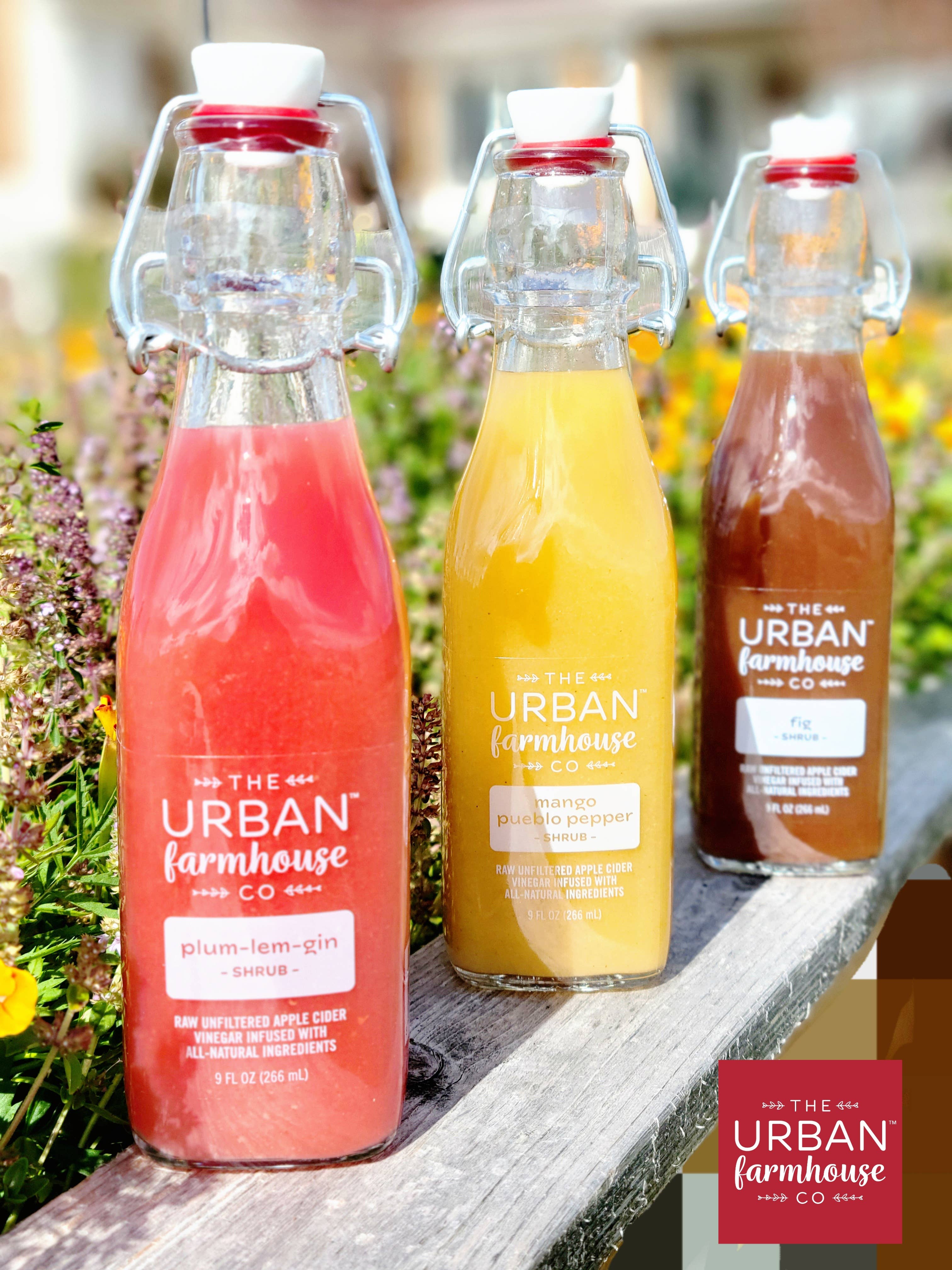 The Urban Farmhouse Co - Wholesale Vinegar - Seasonal Shrubs 9oz Bottles - Organic Living Vinegars6