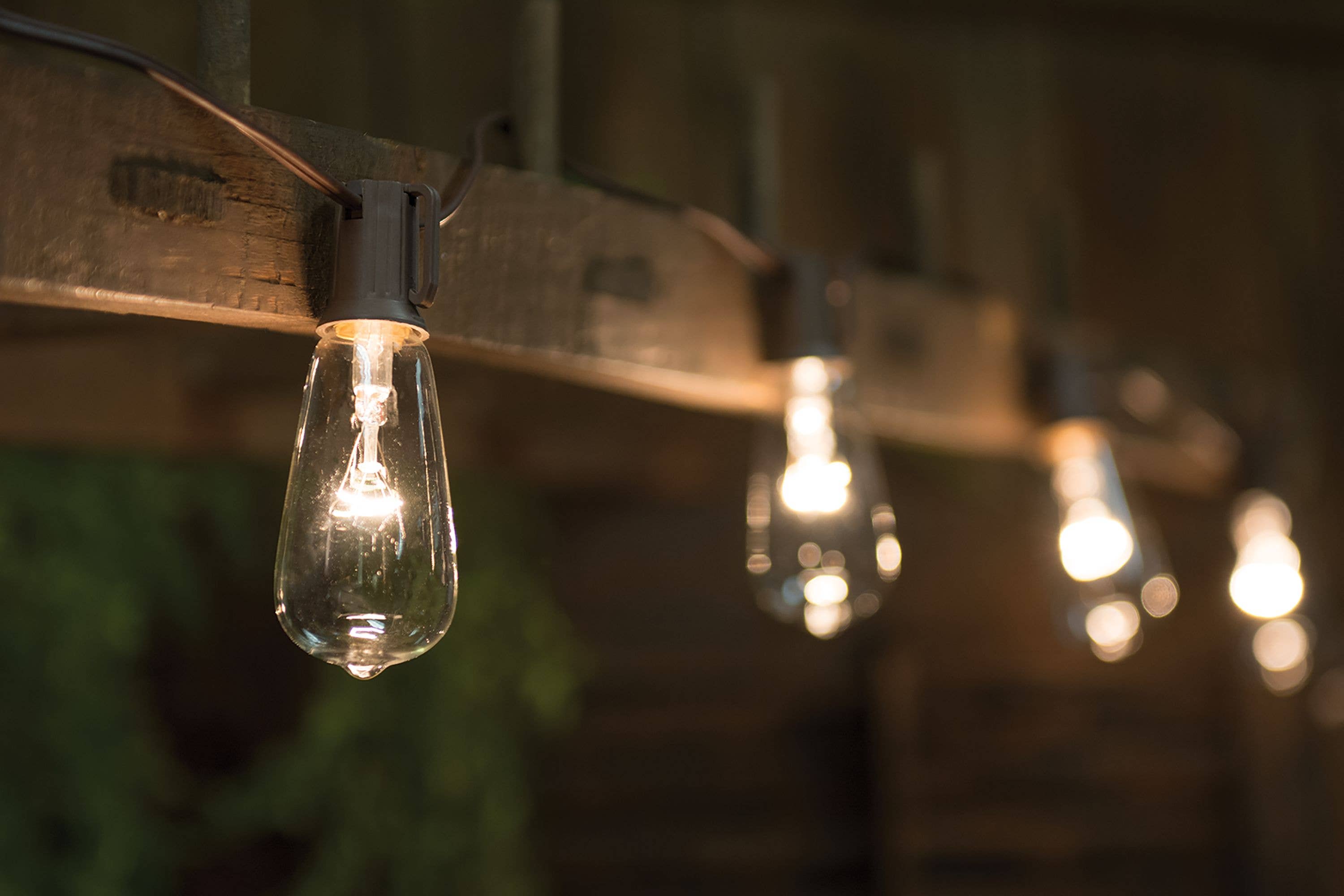 Col House Designs - Vendita all'ingrosso Fili di luci - Filo di luce Edison trasparente, 10 ct.1