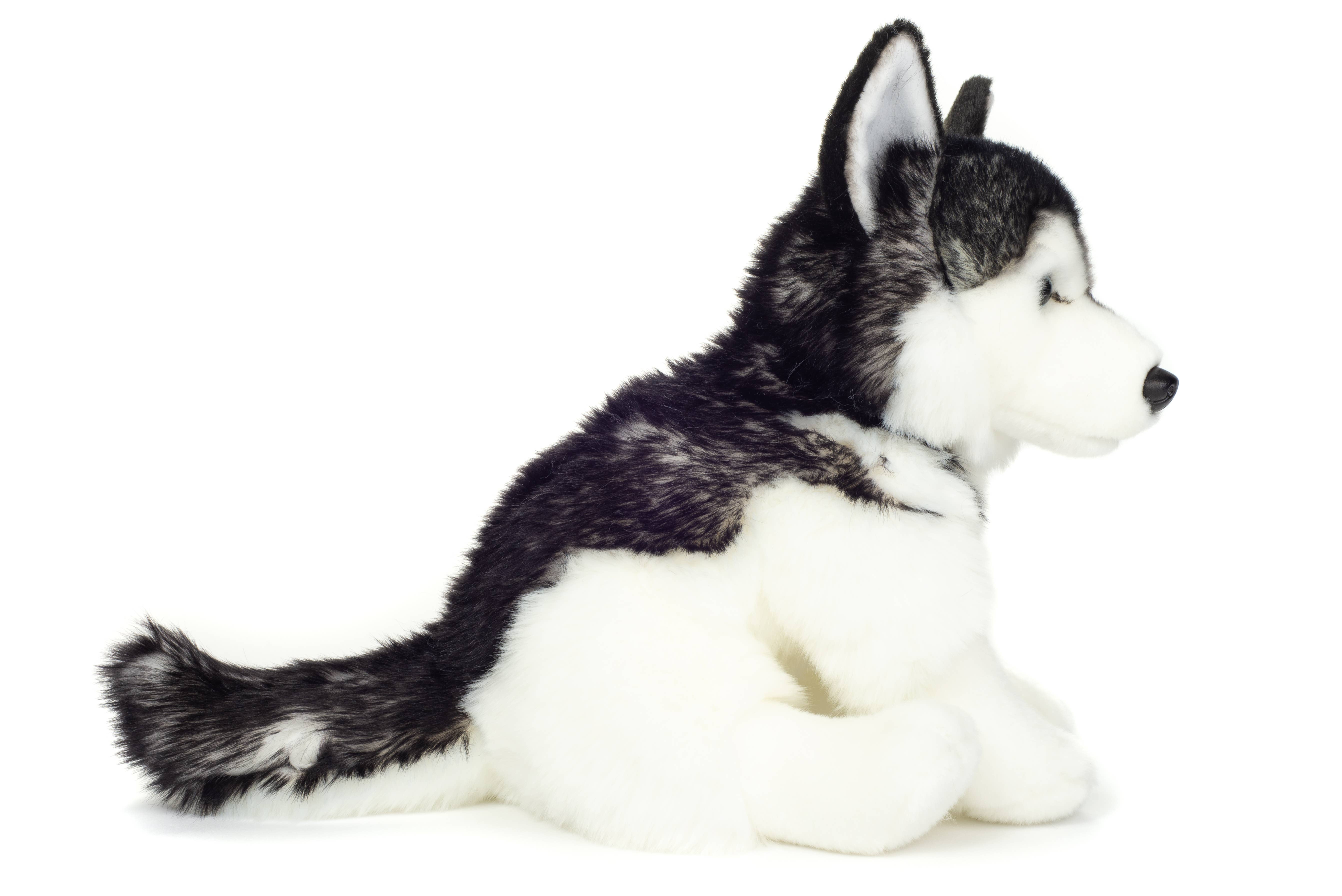 Teddy Hermann – Großhandel Kuschel-/Plüschtier – Kind & Baby – Husky sitzend 30 cm - Plüschtier - Stofftier2