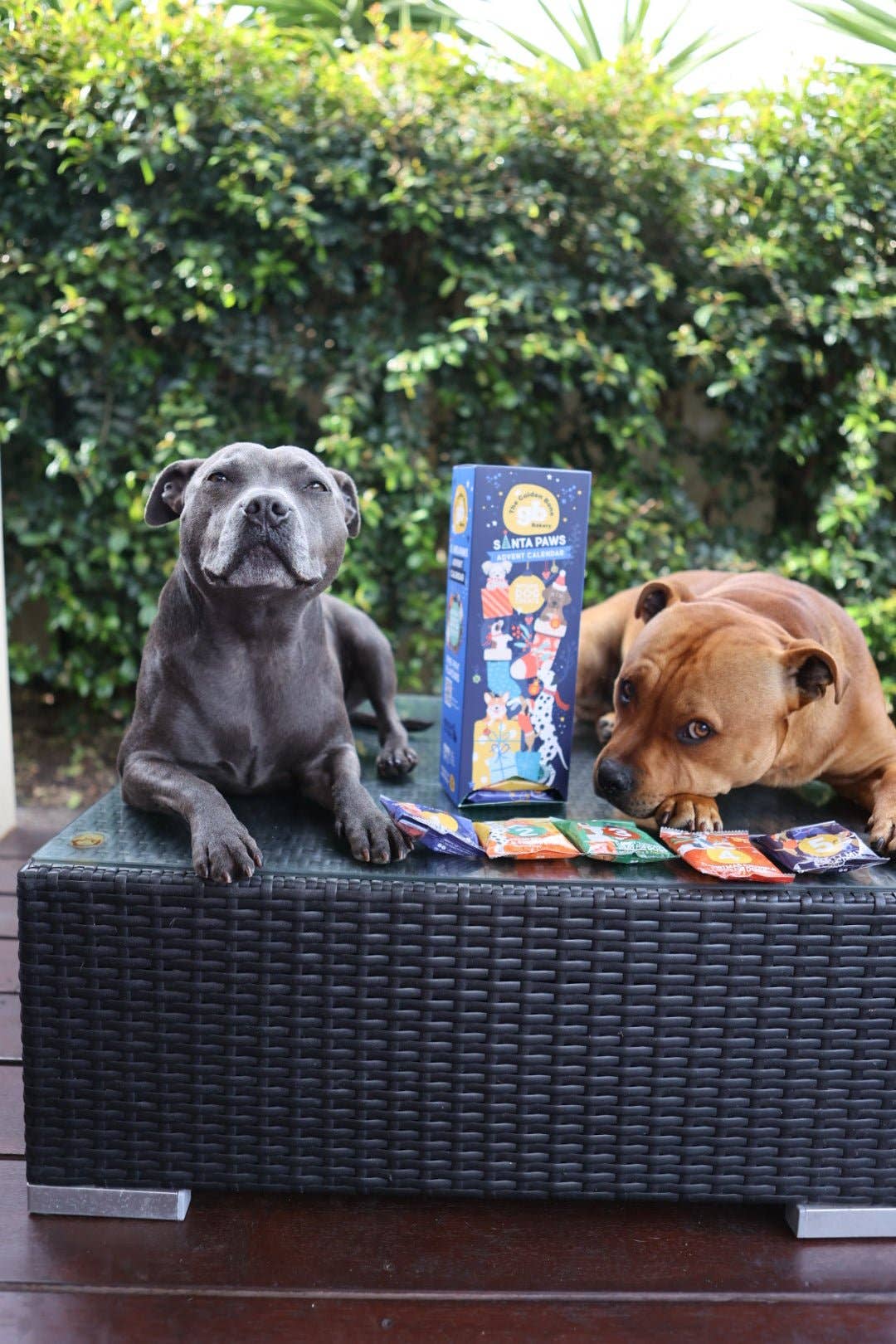 The Golden Bone Bakery - Wholesale Pet treats – Dog - Christmas Advent Calendar Tower Dog Treats1