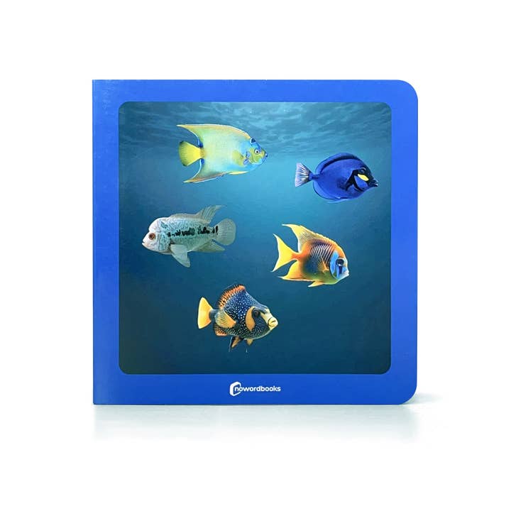 Waar zijn de vissen? - Woordeloos fotoboek NWB057 voor wholesale door Nowordbooks