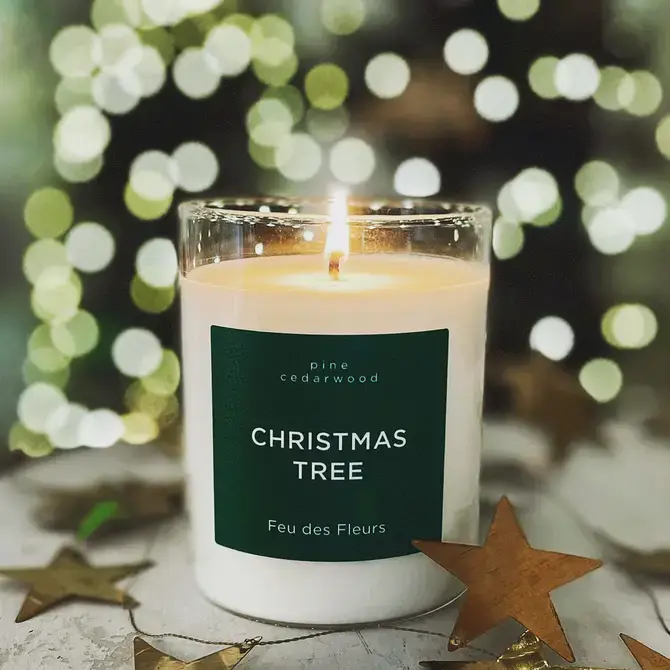 Feu des Fleurs - Wholesale Jar/Filled Candle - Candle Christmas Tree - 50gr4