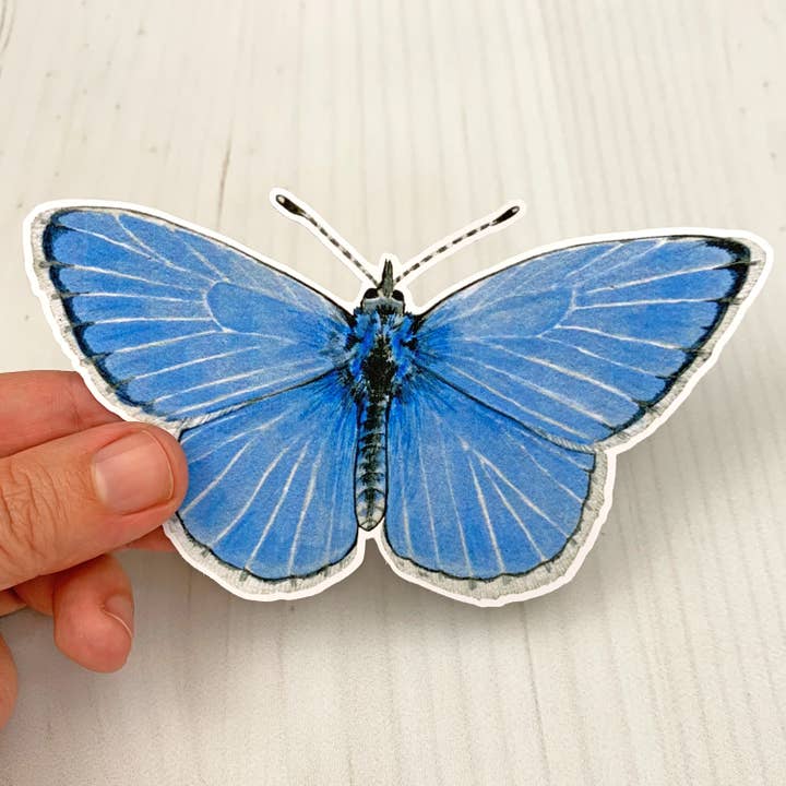 Sarah Draws Things - Wholesale Sticker - Spring Azure Butterfly Matte Vinyl Sticker