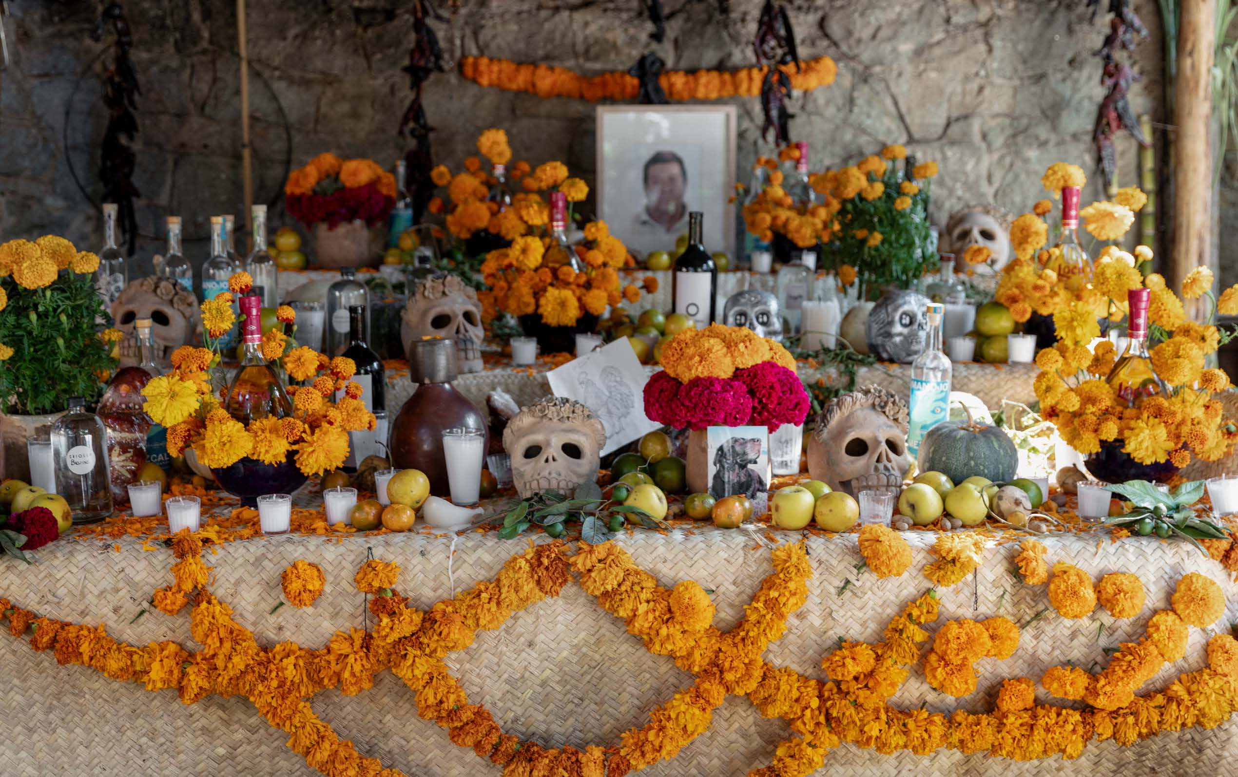 Chronicle Books - Wholesale Display Book - Mexico's Day of the Dead3