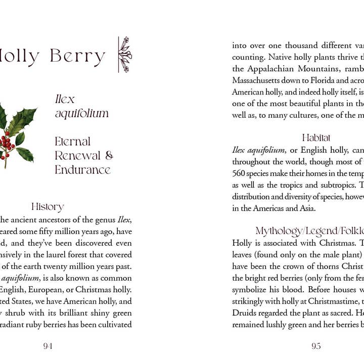 Schiffer Publishing – wholesale Tarot cards – The Flowerwise Oracle5