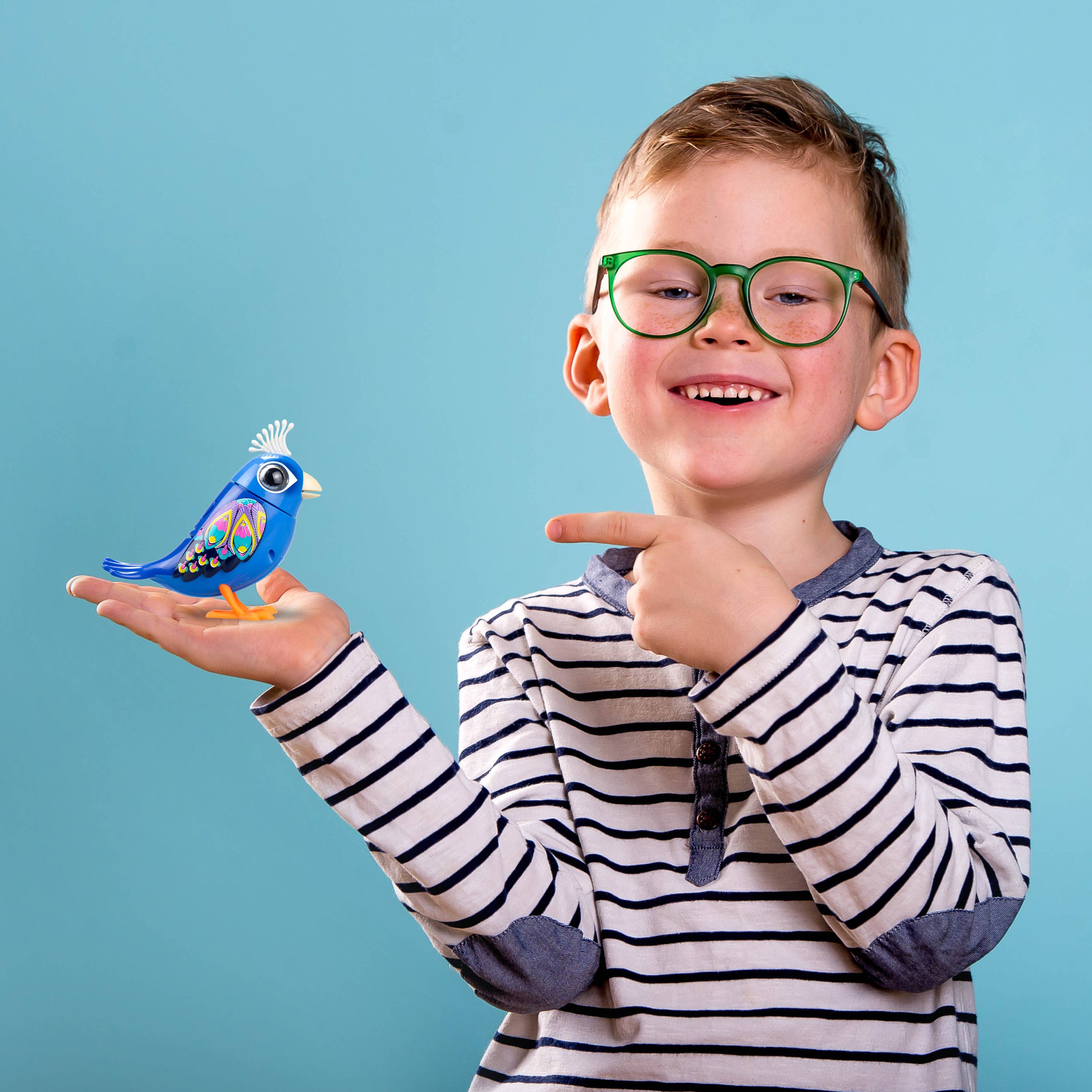 NJ Croce Co., Inc. - Vente Jouet électronique – enfant et bébé - LOT DE 2 CARTES DIGIBIRDS II SILVERLIT4