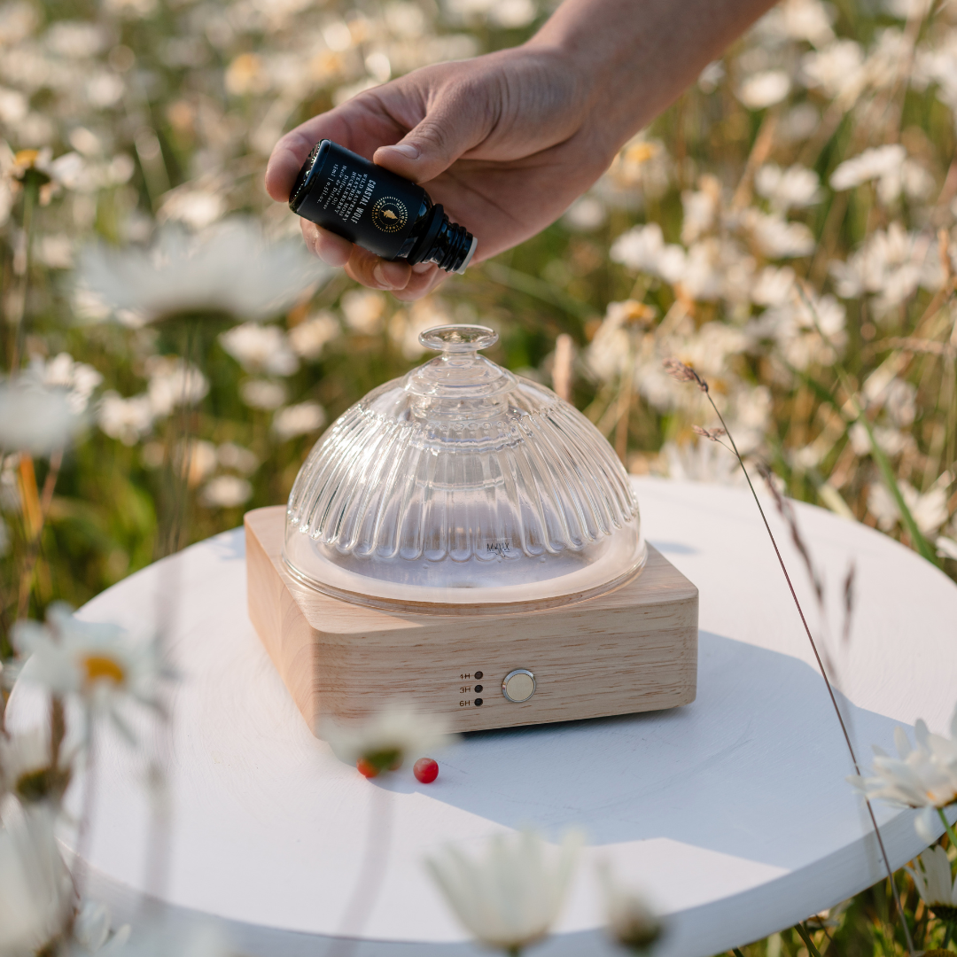 Hollow Tree Candle Co - Wholesale Diffuser Fragrance Refill - Coastal Wolf - Diffuser Oil - 15ml 1