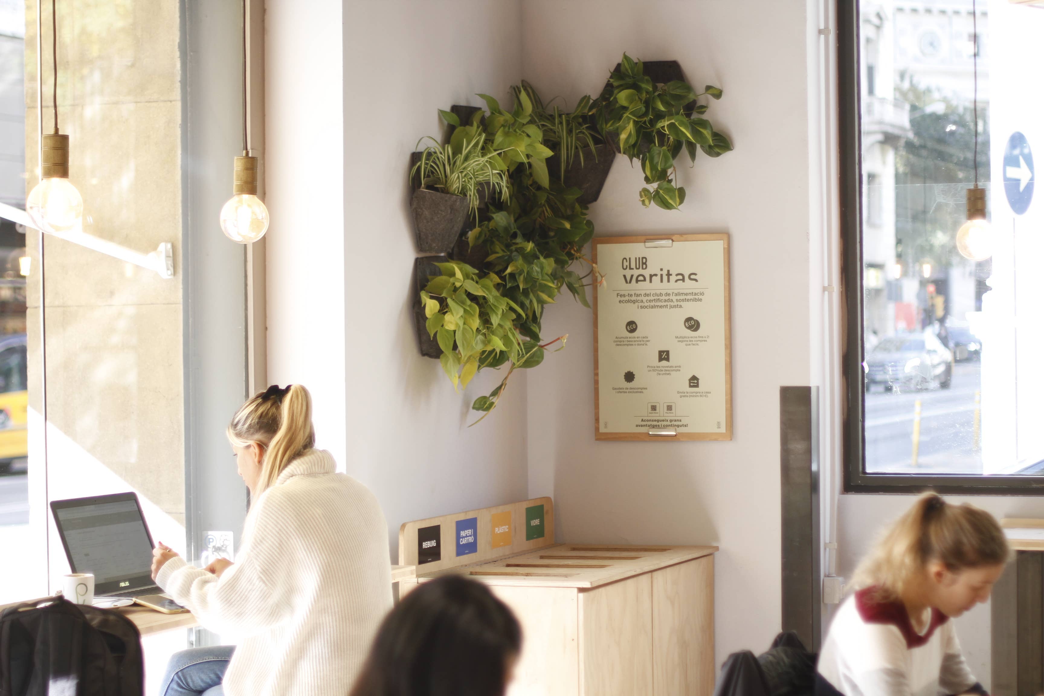 CitySens - Wholesale Wall Planter - CitySens Vertical Garden: Pack of 3 Wall Pots9