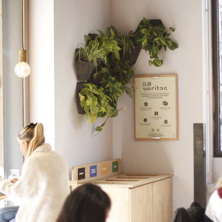 CitySens - Wholesale Wall Planter - CitySens Vertical Garden: Pack of 3 Wall Pots9