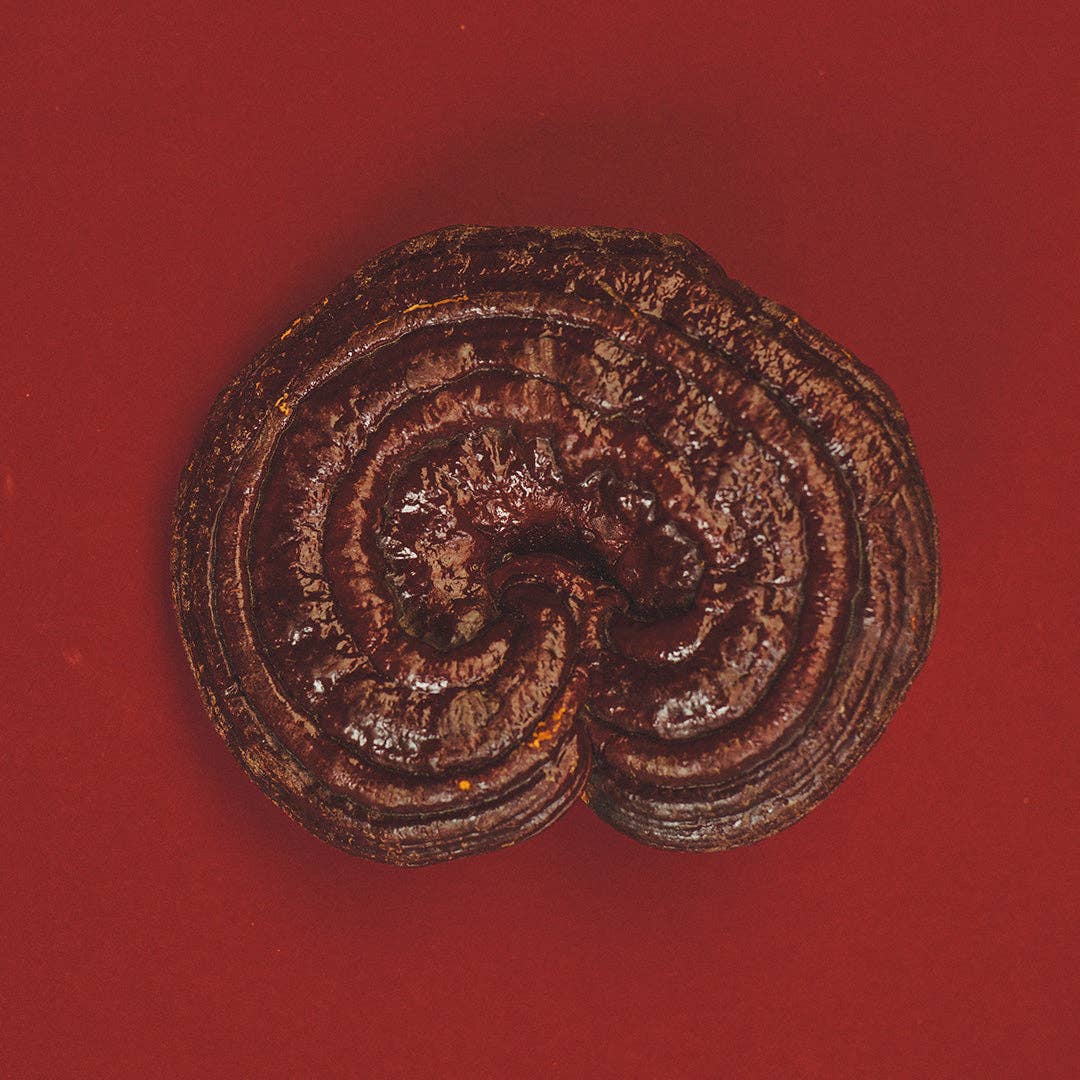 Ode Health - Vendita all'ingrosso Vitamine/integratori orali - PERLE DI MIELE DI REISHI3