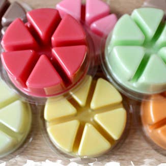 craftastik - Wholesale Wax melt - Wax Melt Starter Kit1