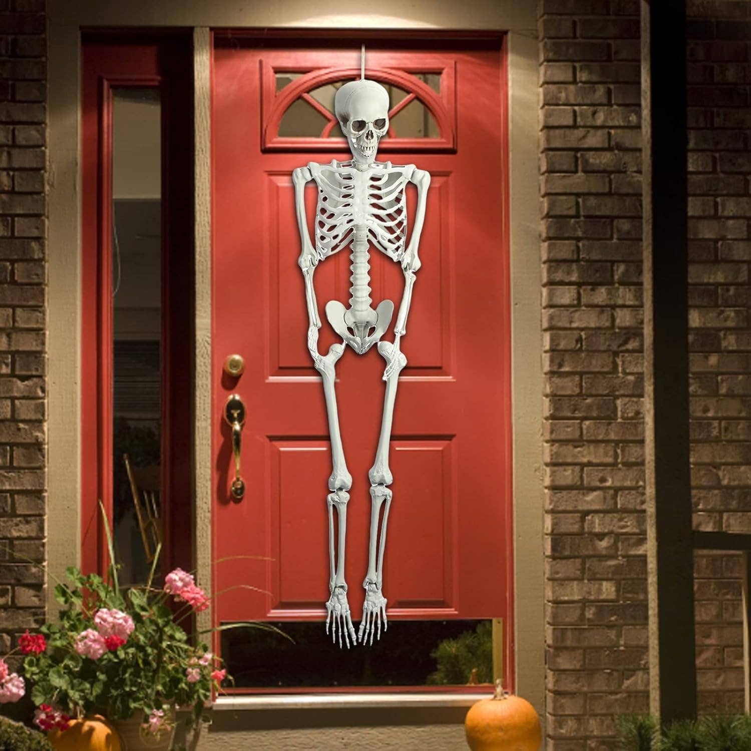 Innovarix - Wholesale Nativity Scene Decor - Life Size Skeleton - 5 Ft (moveable joints) pick a pose2