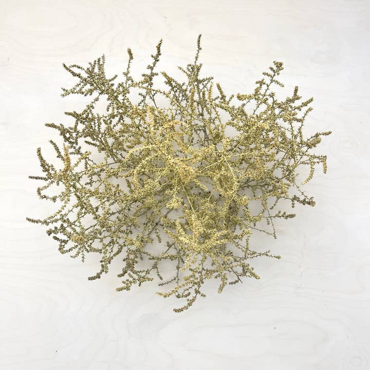Farmhaus + Co. - Wholesale Decorative Tabletop Object - Tumbleweed Accent1
