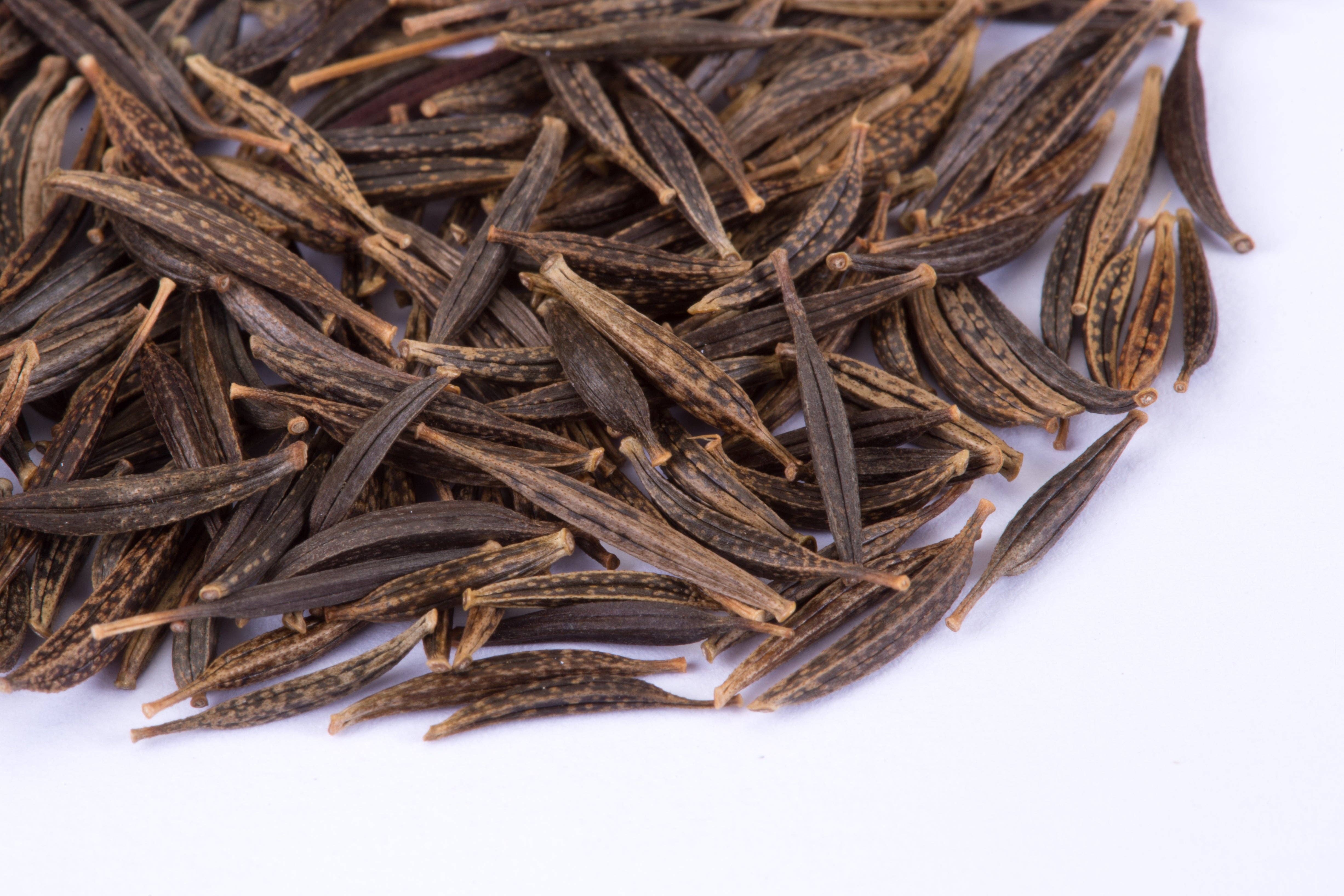 Bentley Seed Co. - Wholesale Plant Seeds - Cosmos, Sensation Seed Packets3