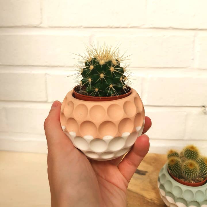 Vinci dEco - Wholesale Vase - Mini Bubble Jar Mini Cactus Ball Vase