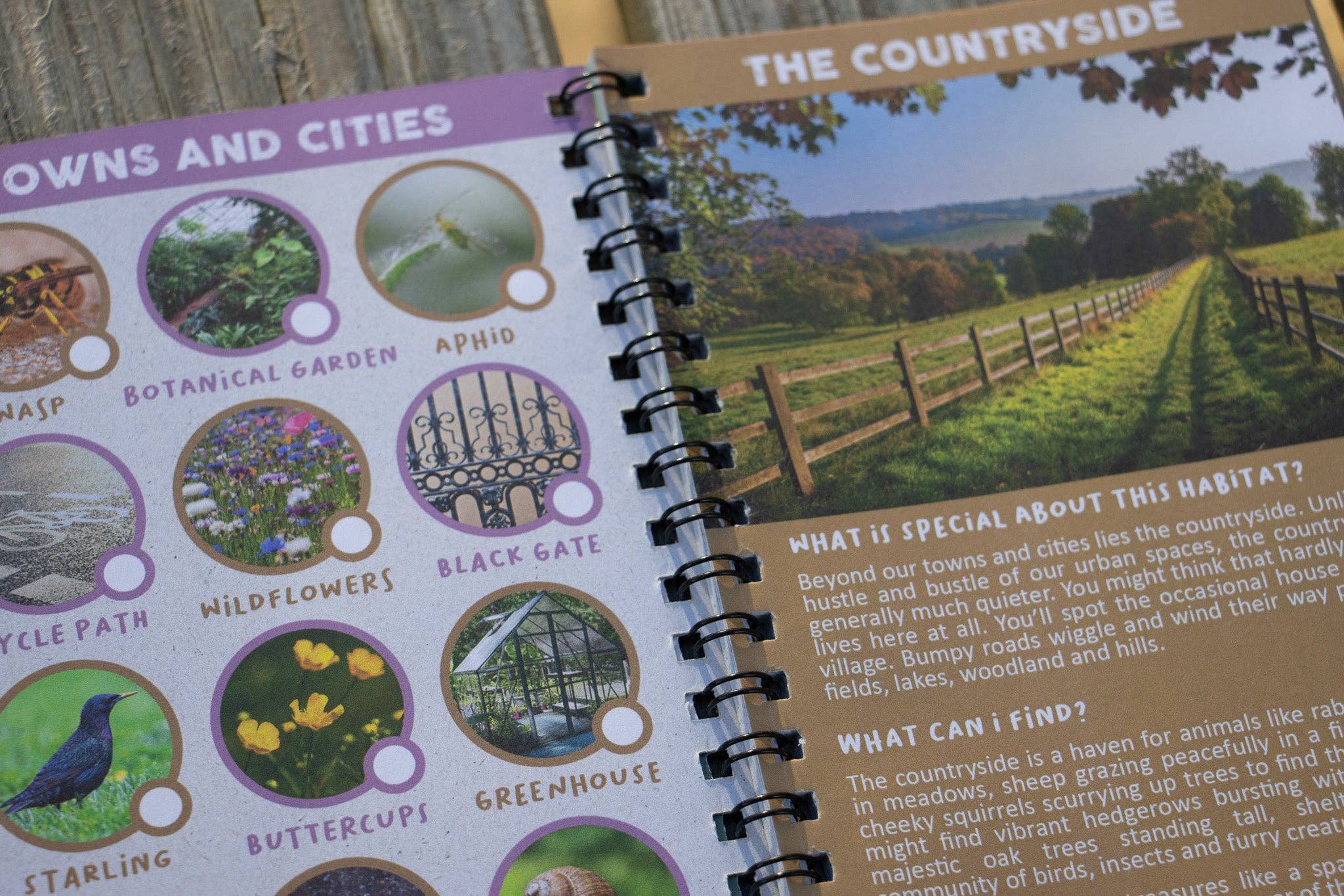 The Wild Spark – wholesale Nature and outdoors – Off The Beaten Track: The Very Wild Scavenger Quest5