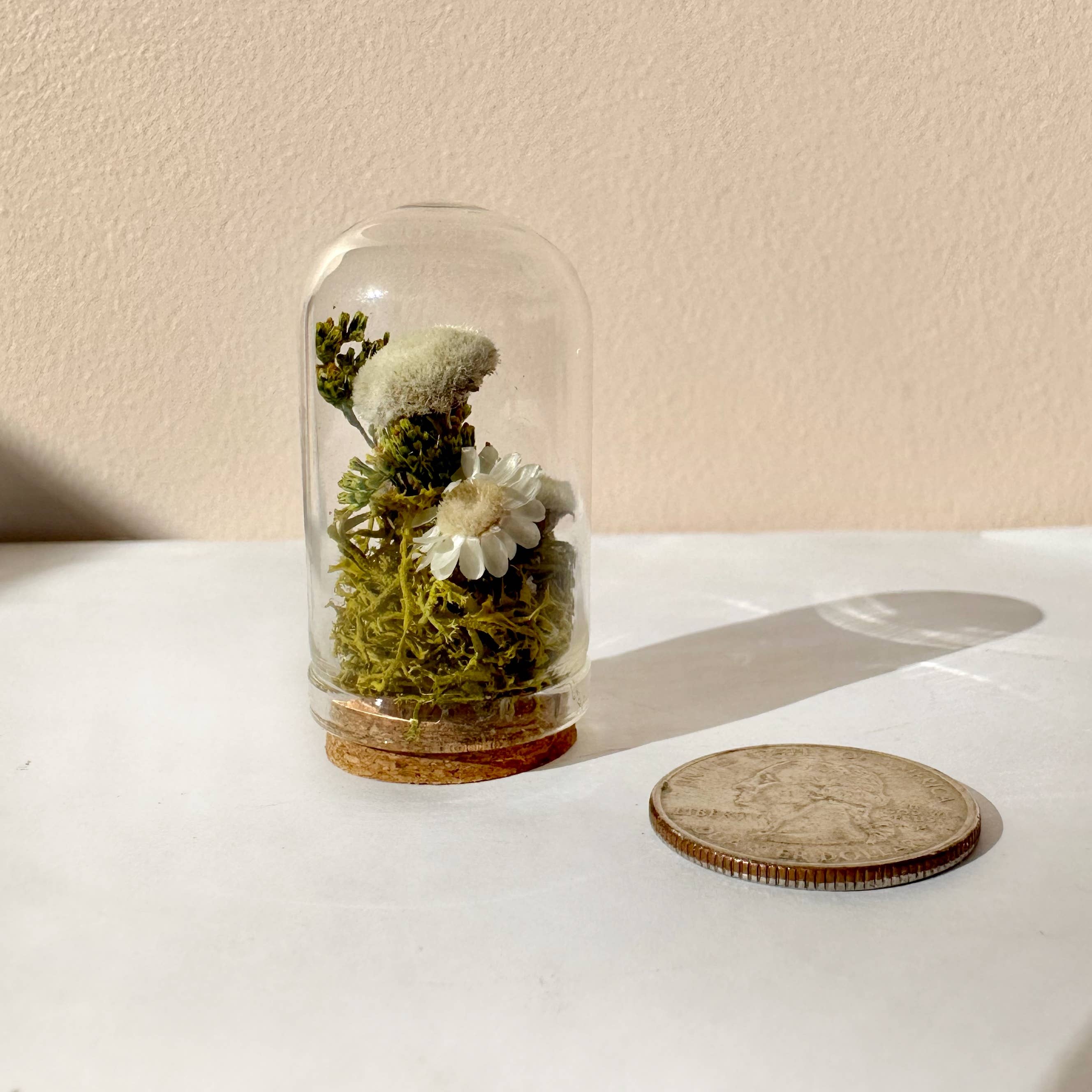 CA Studios - Wholesale Terrarium - Flower Forest Mini Glass Cloche Terrarium w. Dried Florals6