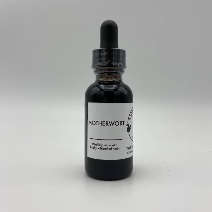 Motherwort Tincture for wholesale by Tippecanoe Herbs