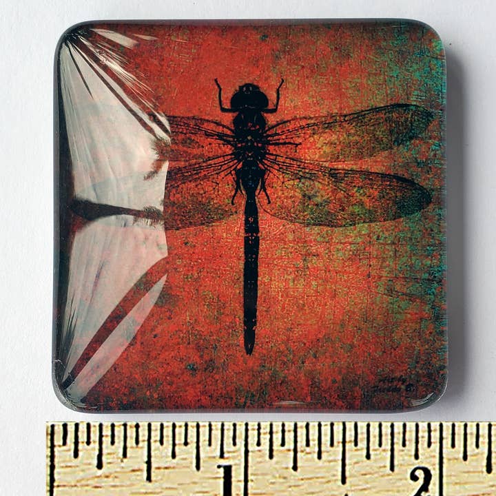 Art by Freddy B. - Wholesale Magnet - Set of 6 Acrylic Glass Magnets, The Dragonfly Collection3