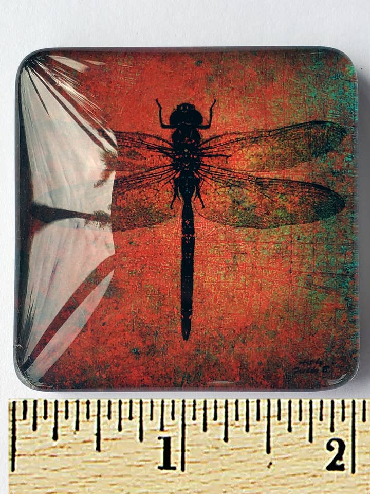 Dragonfly on Brown Background Print 2x2 Acrylic Glass Magnet for wholesale by Art by Freddy B.