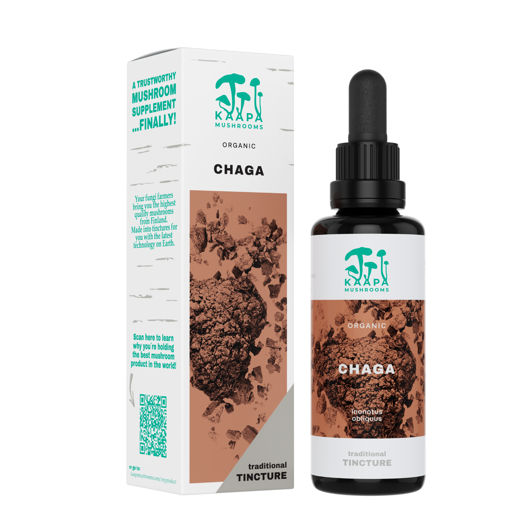 Kaapa Mushrooms UK - Wholesale Tincture - Chaga Mushroom Extract Tincture - Organic - 50ml0