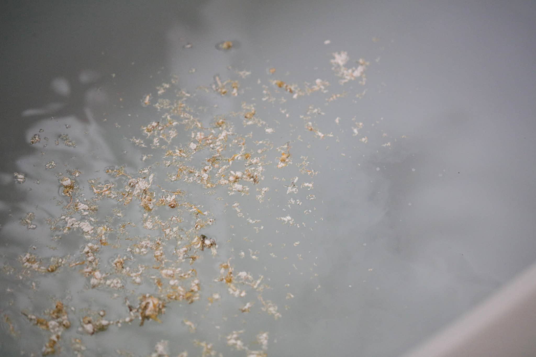 Among the Flowers - Wholesale Bath Bomb/Fizz - Bath Bomb | Lavender2