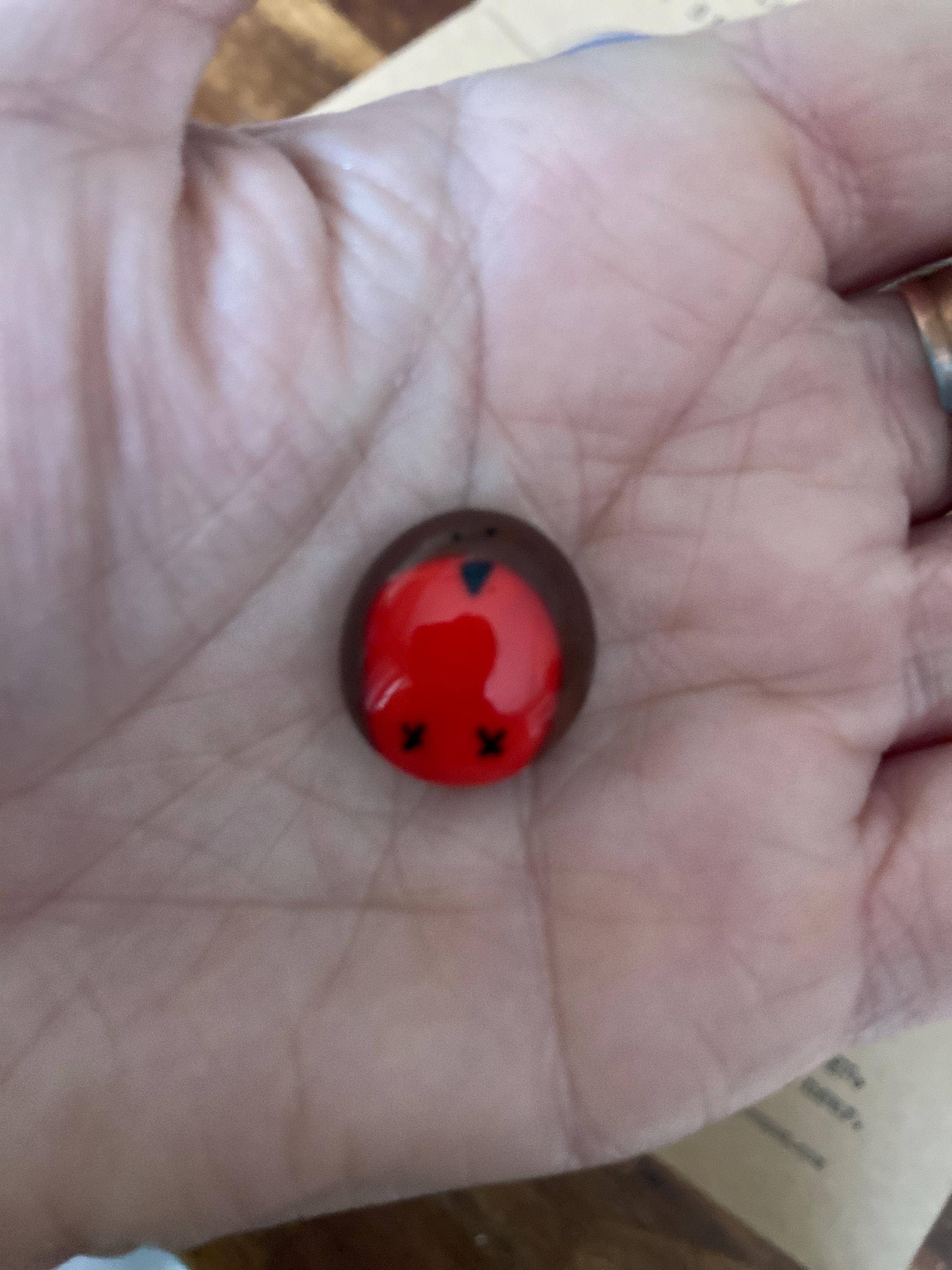 Pals in your Pocket - Wholesale Keepsake Coin/Token - Robin Pebble Grave Marker - Outdoor Sympathy Gift2