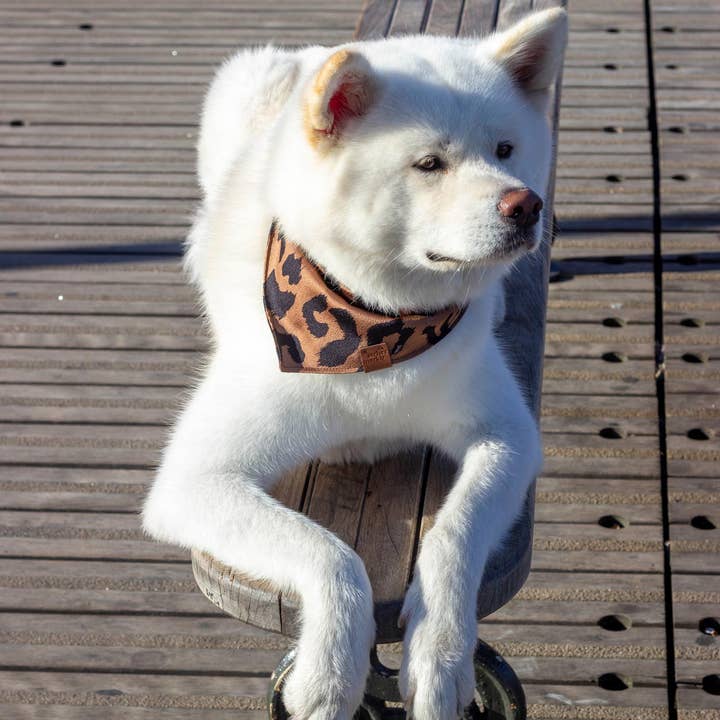 Atelier Markiz - Wholesale Pet Bandana - Dog - Bandana Wild2