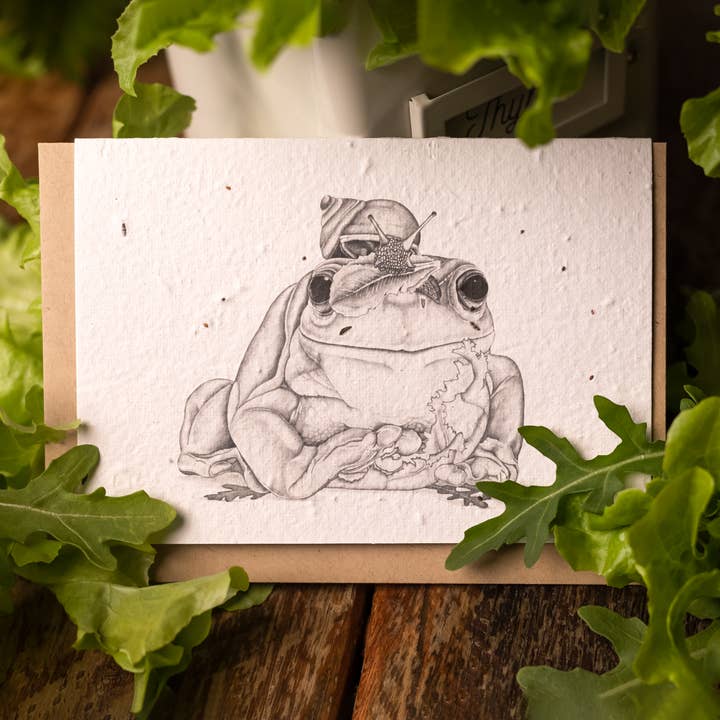 Laura Luke - Wholesale Everyday greeting card - Plantable Greeting Card - Lettuce be friends ( green frog)1