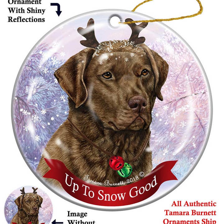 Pet Gifts USA, LLC - Wholesale Ornament - Vakantie Huisdier Geschenken Chesapeake Bay Brown Rendier Ornament