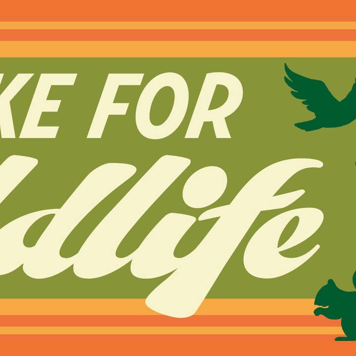 Three to the Em Prints - Venta al por mayor Pegatina - Adhesivo de vinilo extraíble para parachoques I Brake For Wildlife1