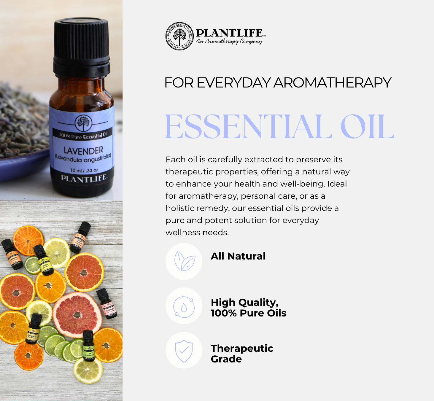 Plantlife - Wholesale Essential Oil - Peppermint Essential Oil3
