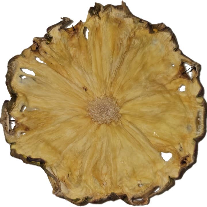 Convenient Cocktail Co. – Großhandel DIY-Getränkekit – Getrocknete Ananas Vollmond-Cocktailgarnituren - 16 Stück2