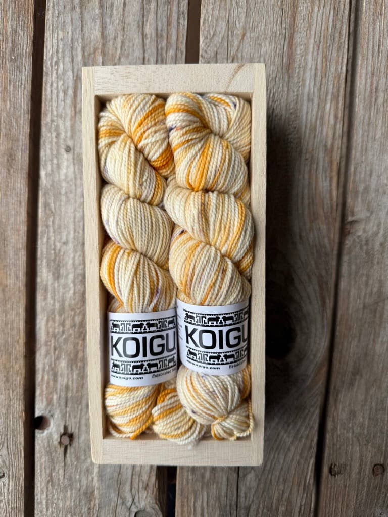 Koigu Wool Designs - Wholesale Yarn - Koigu Sock Crate7