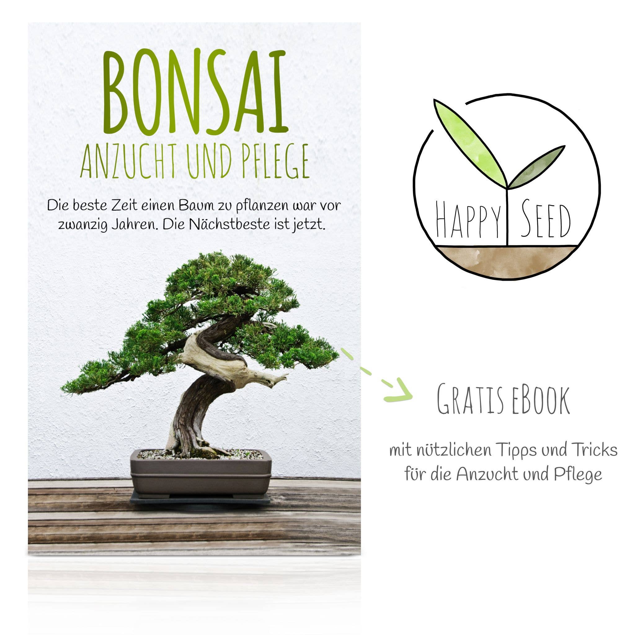 Vendix GmbH – Engroshandel Plantefrø – Eksotiske bonsai-frø med høj spireevne6