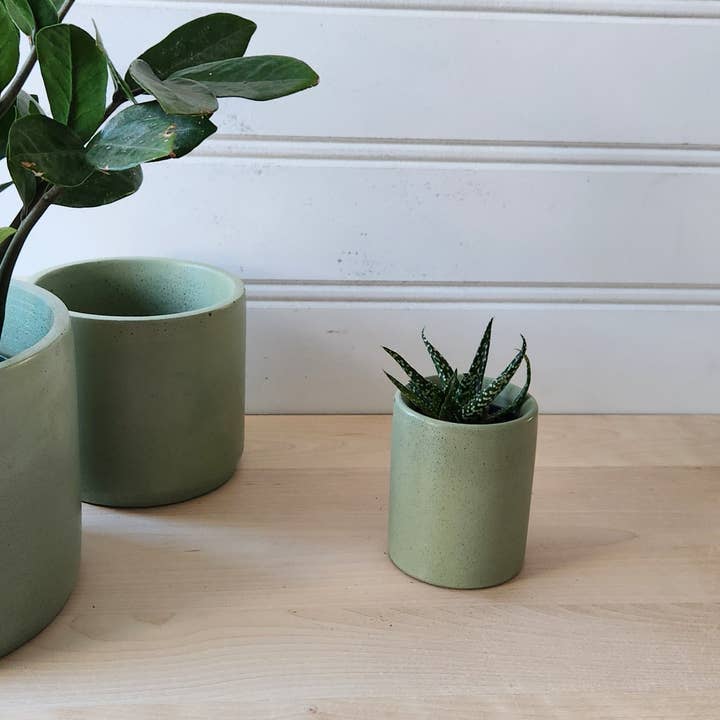 Plant 'er Here - Wholesale Plant Pot - Cylinder Planter- 3" 5" 7" Blush & Olive4