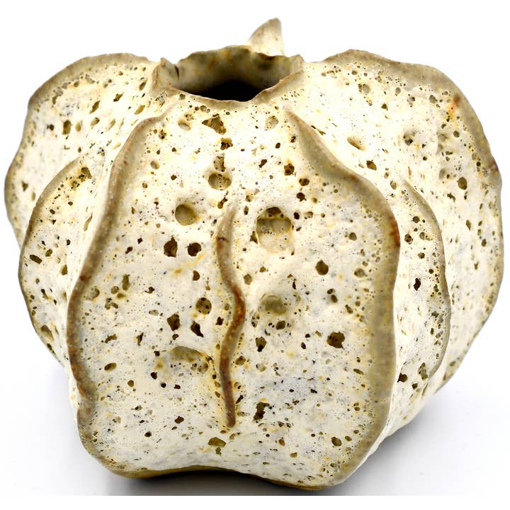 Sri119S Liten Sand Luffa Badpuff för wholesale av Art Floral Trading LLC