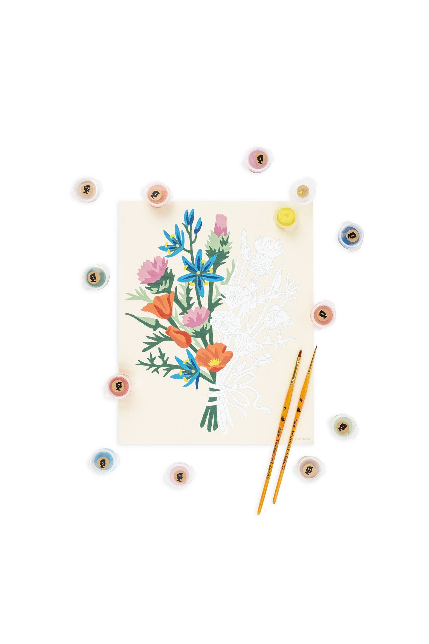 Elle Crée (She Creates) - Wholesale DIY Craft Kit - California Wildflowers Paint-by-Number Kit 1
