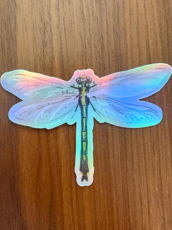 Holographic Dragonfly Hand drawn Insect Sticker Decal for wholesale by Jennifer Yung Art