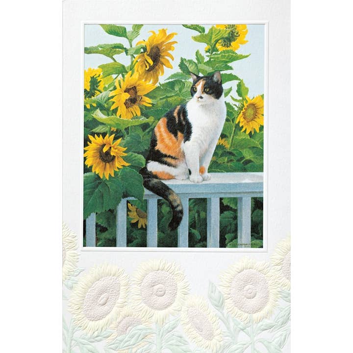 Pumpernickel Press - Wholesale Birthday Card - Abbie Cat - Deluxe