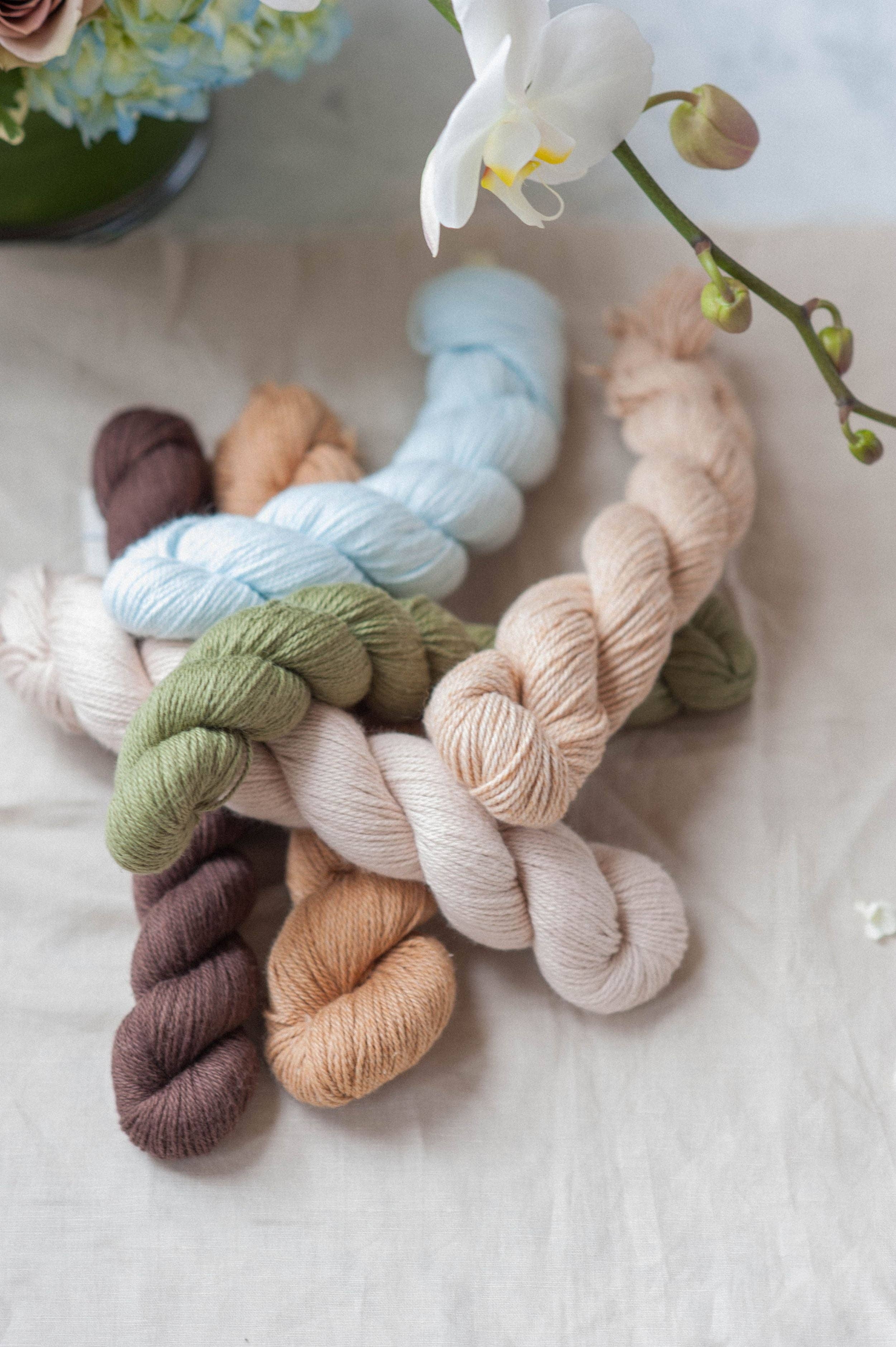 Quince & Co. - Wholesale Yarn - Willet47