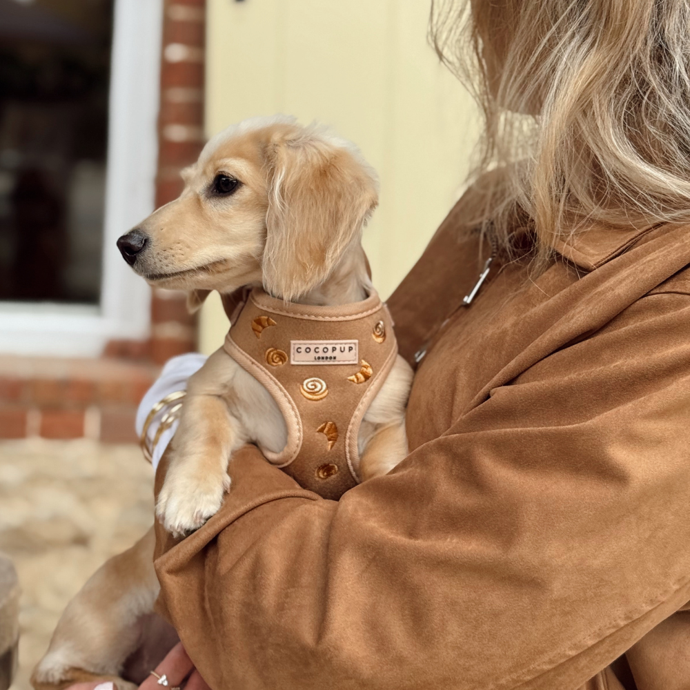 Cocopup London - Wholesale Pet Harness - Dog - Pawtisserie Adjustable Neck HARNESS11